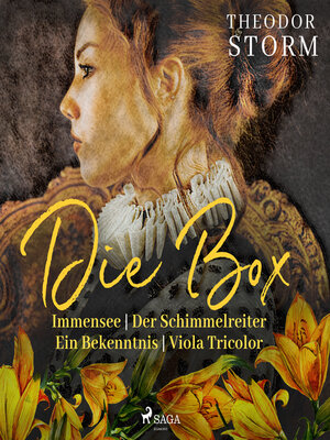 cover image of Theodor Storm. Die Box